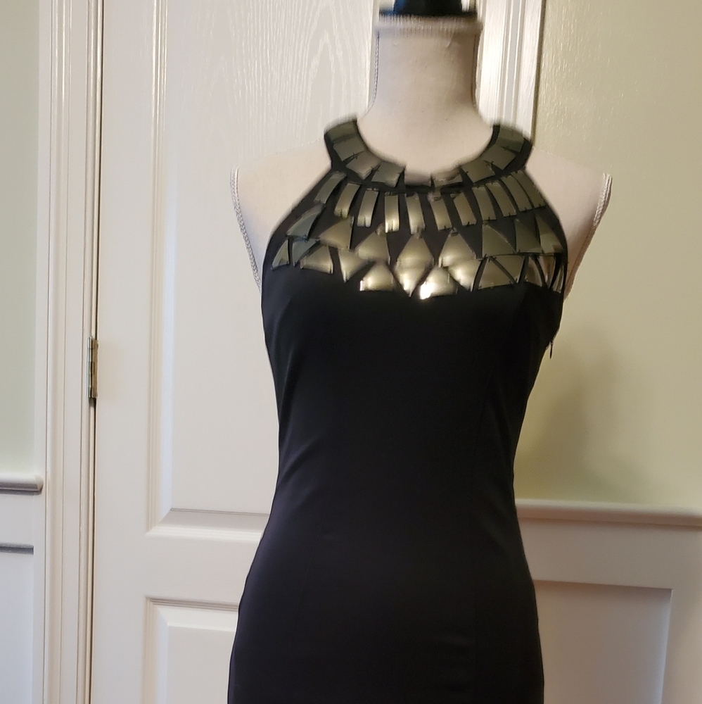 Woman's Cocktail Dress